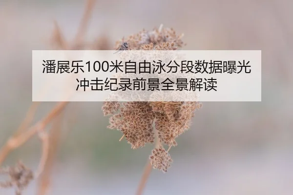 潘展乐100米自由泳分段数据曝光 冲击纪录前景全景解读